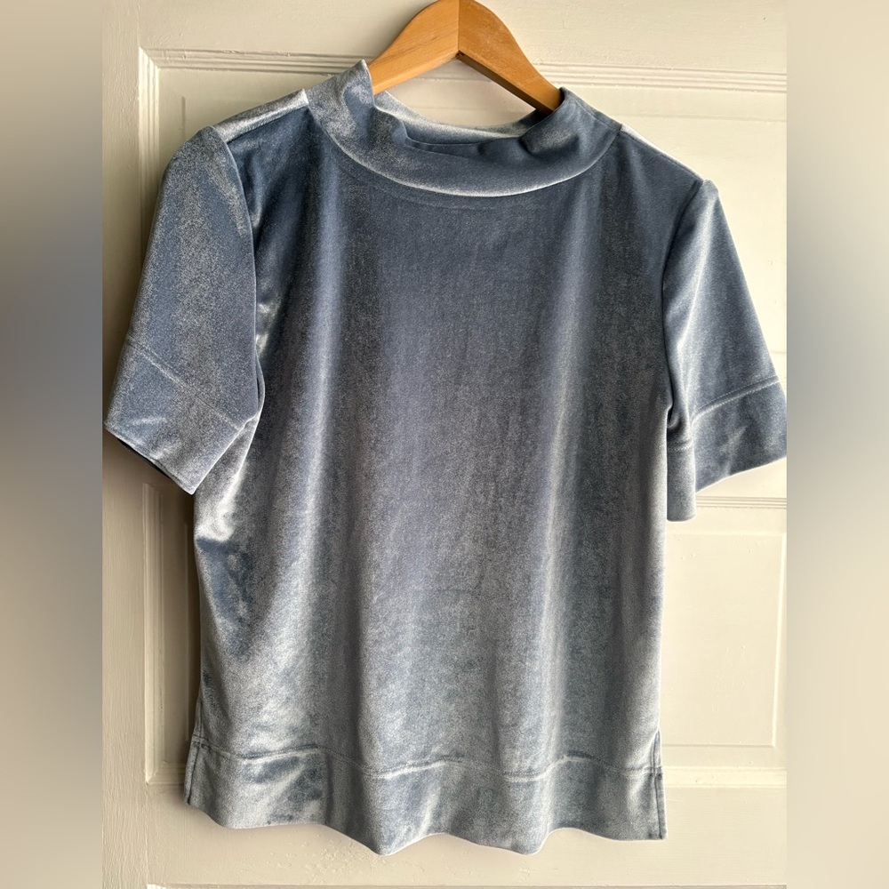 Anthropologie Velvet Short Sleeve Mock-neck Top